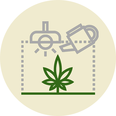 Cannabis Cultivation Services